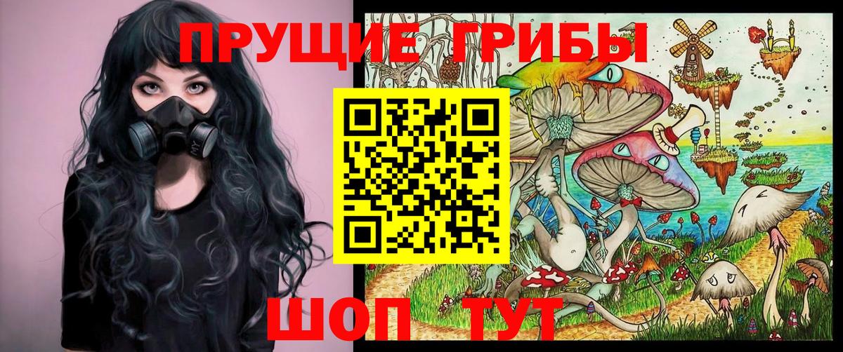 Дмитров  Галлюциногенные грибы Magic Shrooms  Вход с VPN  Галлюциногенные грибы мицелий 