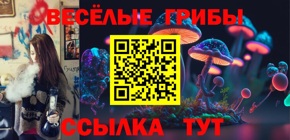 Галлюциногенные грибы мухоморы Дмитров